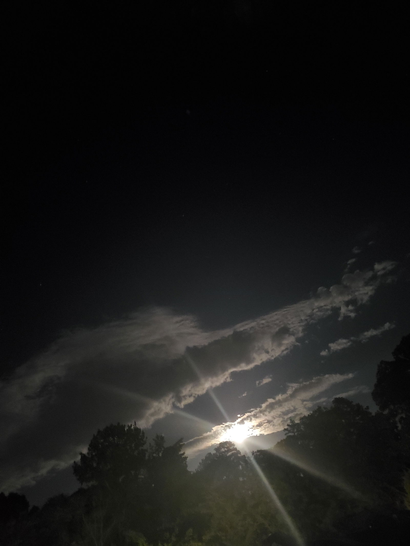 Secretlittle's OnlyFans Profile