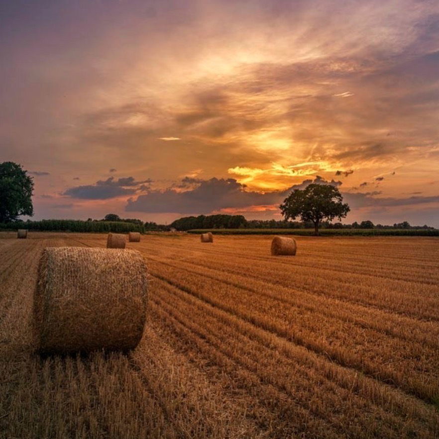 Bailey Brewer 🍻 | The Original Tow Ball Queen