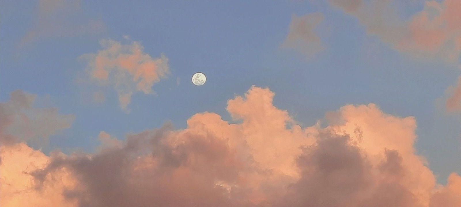 Jasmine Grey - Seductive Lady of OnlyFans