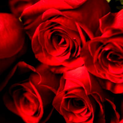 Explore the Enchanting World of Lori - OnlyFans Sensation